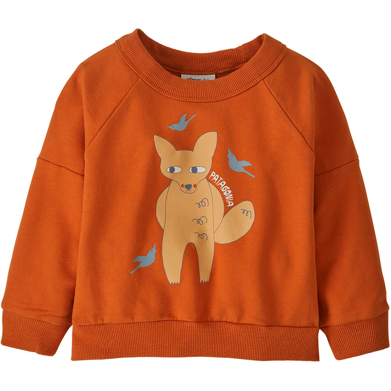 Patagonia Kinder Baby Crew Pullover