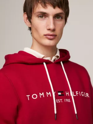 Moletom com capuz e modelagem regular com logo