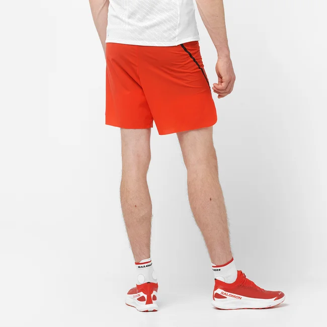S/LAB SPEED  Shorts Herren