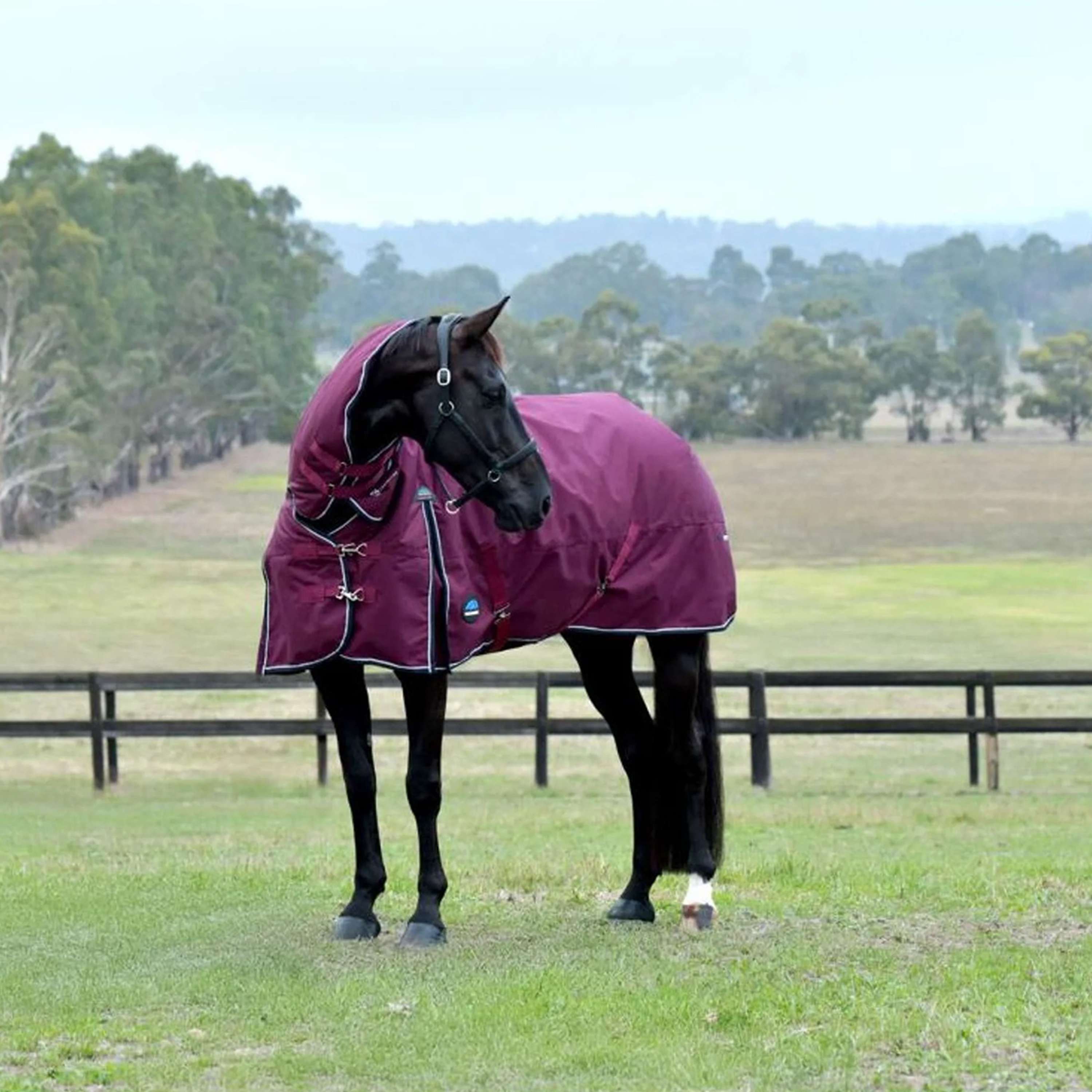 WeatherBeeta ComFiTec Essential Turnout Combo 220g Burgundy/Navy
