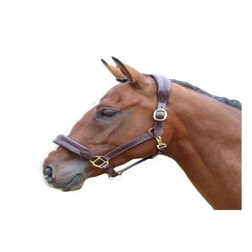 Cabresto de couro para cavalo Blenheim Jaca