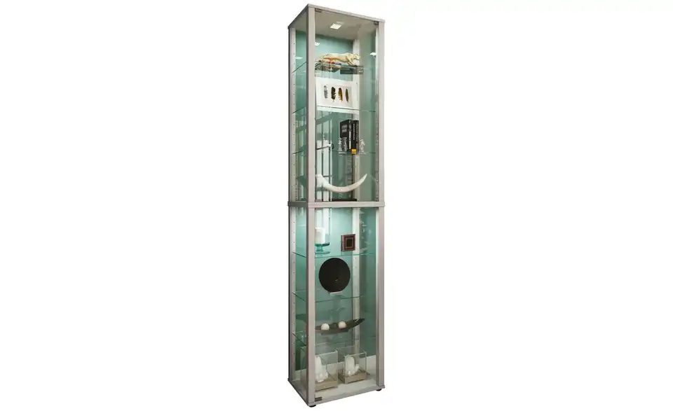 Vitrine