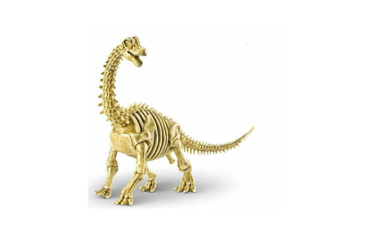 Mega Dino Fossil Find verrassingsei met dino