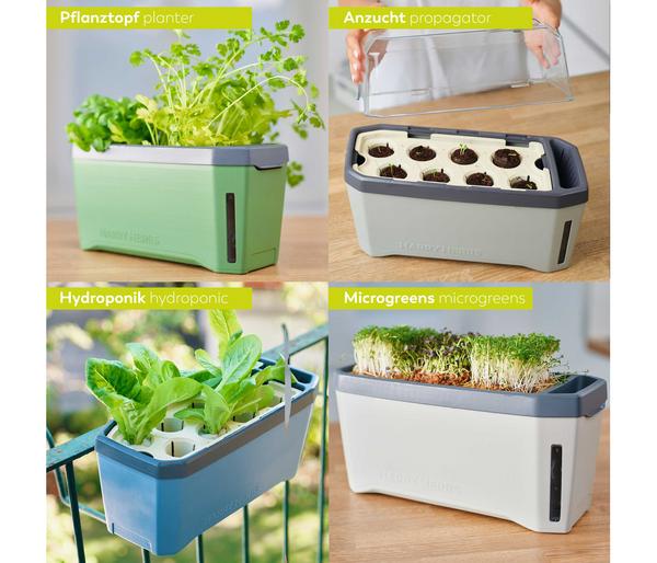 Gusta Garden Kräutertopf Harry Herbs mit