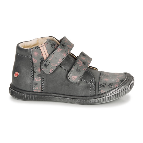 GBB - ODITA - Gris