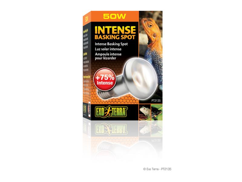 Exo Terra Terrarienlampe Intense Basking Spot E27, R20/50W Wärmespotlampe