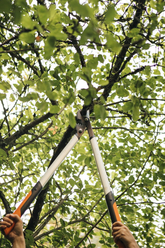 Fiskars PowerGear LX99 - Takkenschaar
