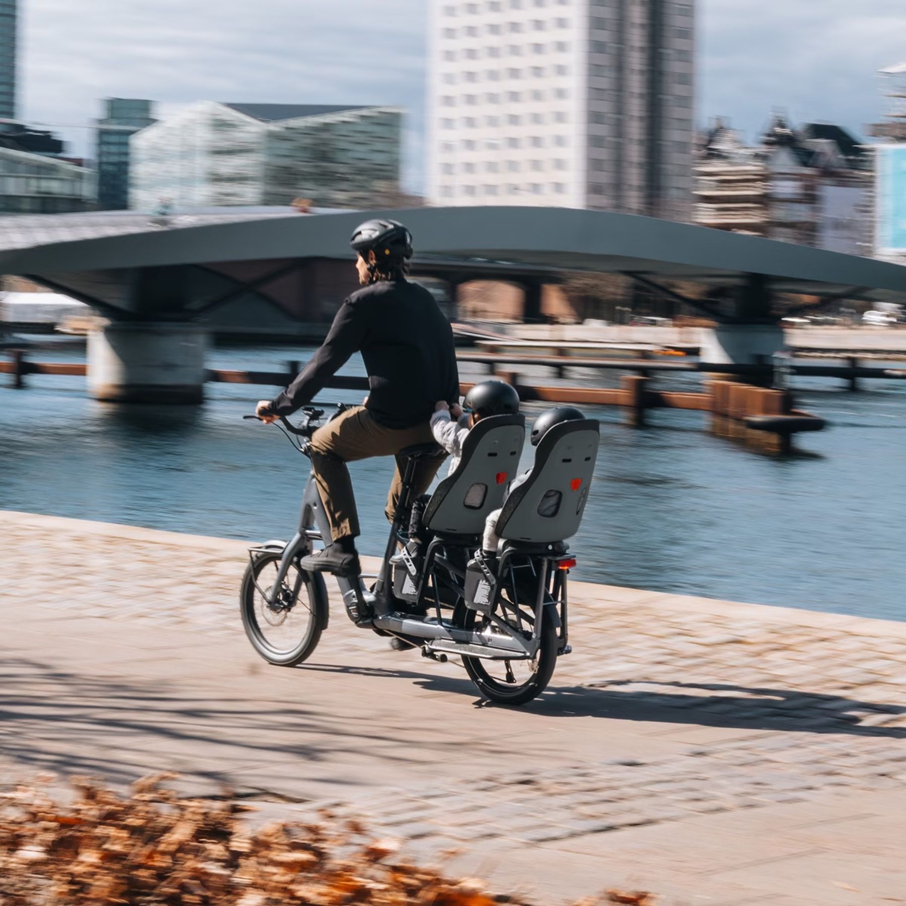 Thule Yepp Nexxt 2 Maxi Fietsstoeltje Achter