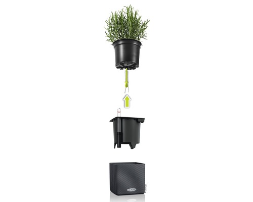 Lechuza Cube Color bloempot van kunststof, 14x14x14 cm, leigrijs, inclusief zelfbewateringssysteem en waterniveau-indicator