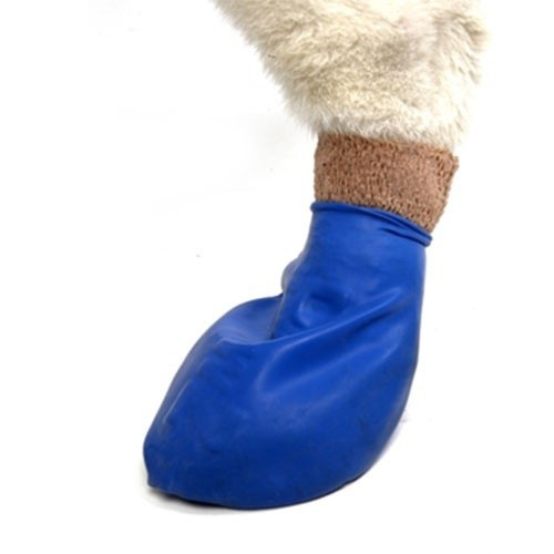 Botas para cães Pawz de borracha natural, azuis