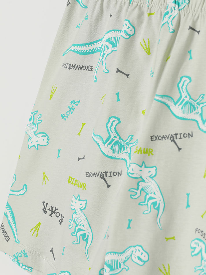 Conjunto de pijama estampado - Cinza claro