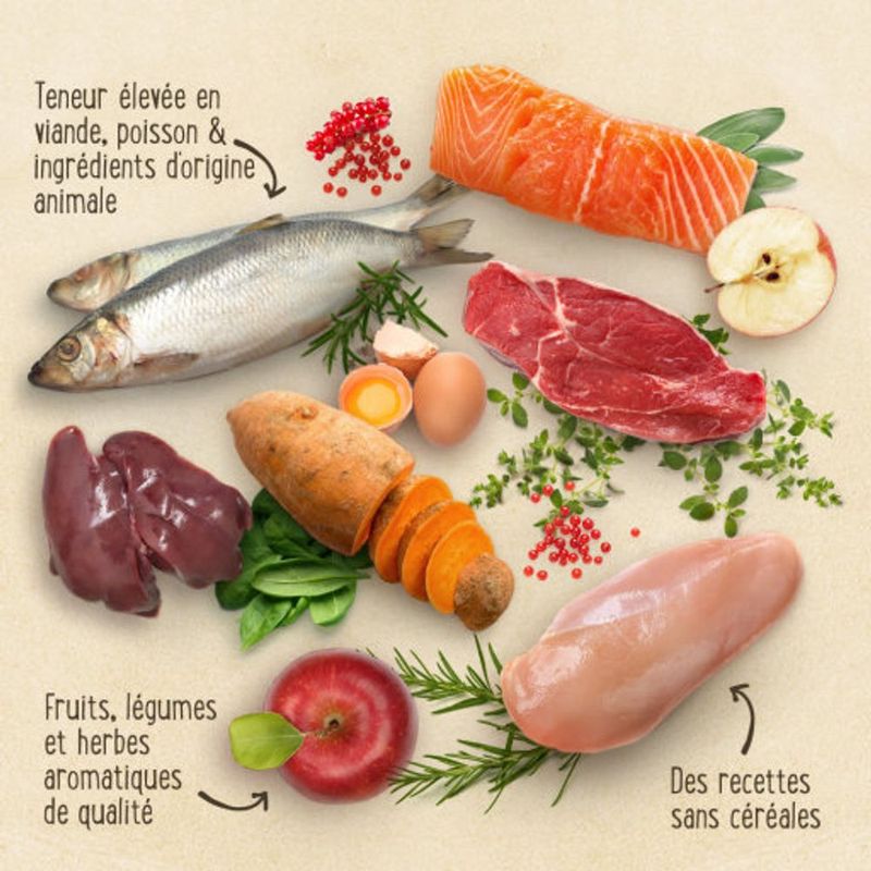 Purizon Sterilised Adult agneau, poulet - sans céréales