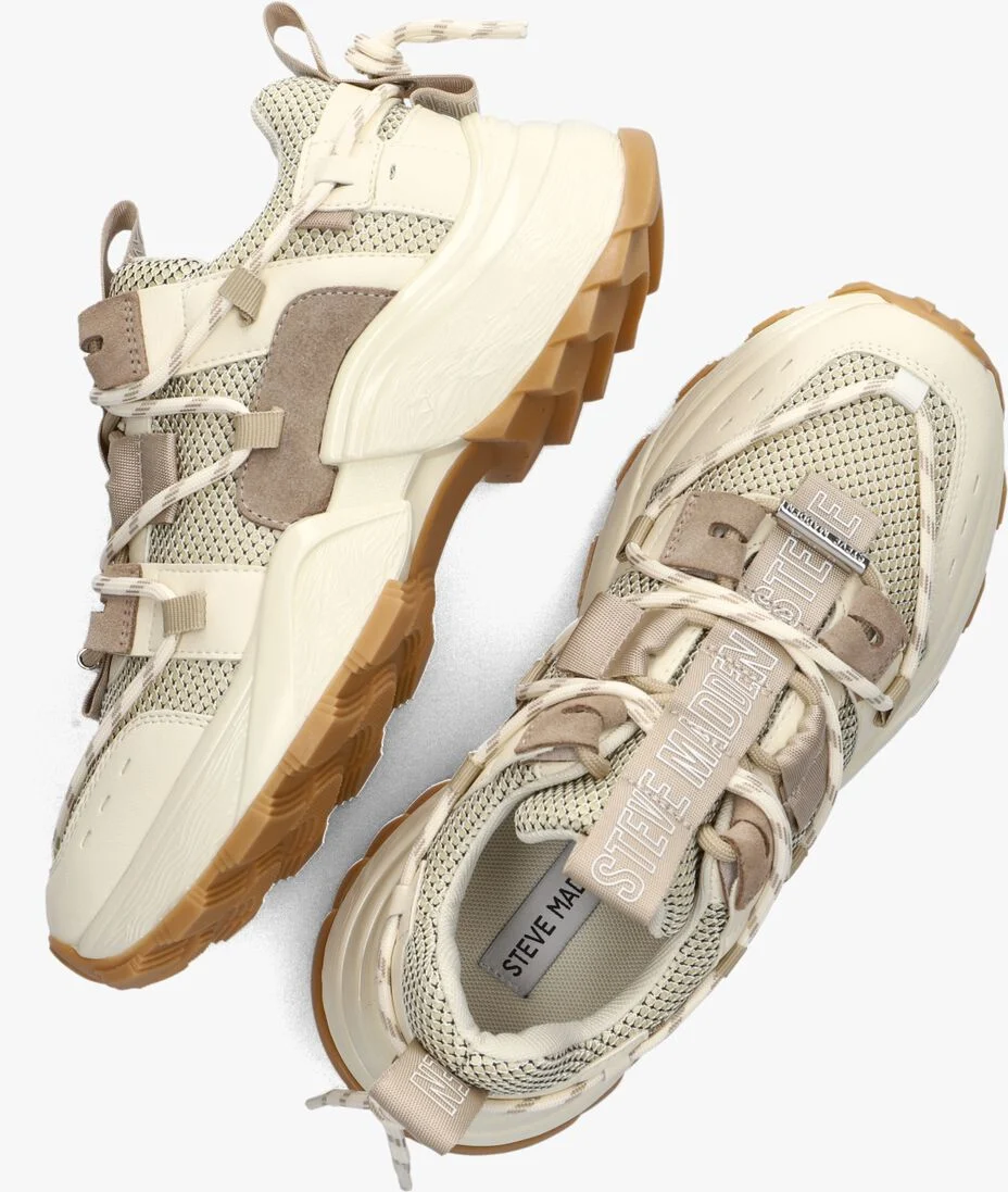 STEVE MADDEN bruine steve madden lage sneakers tazmania