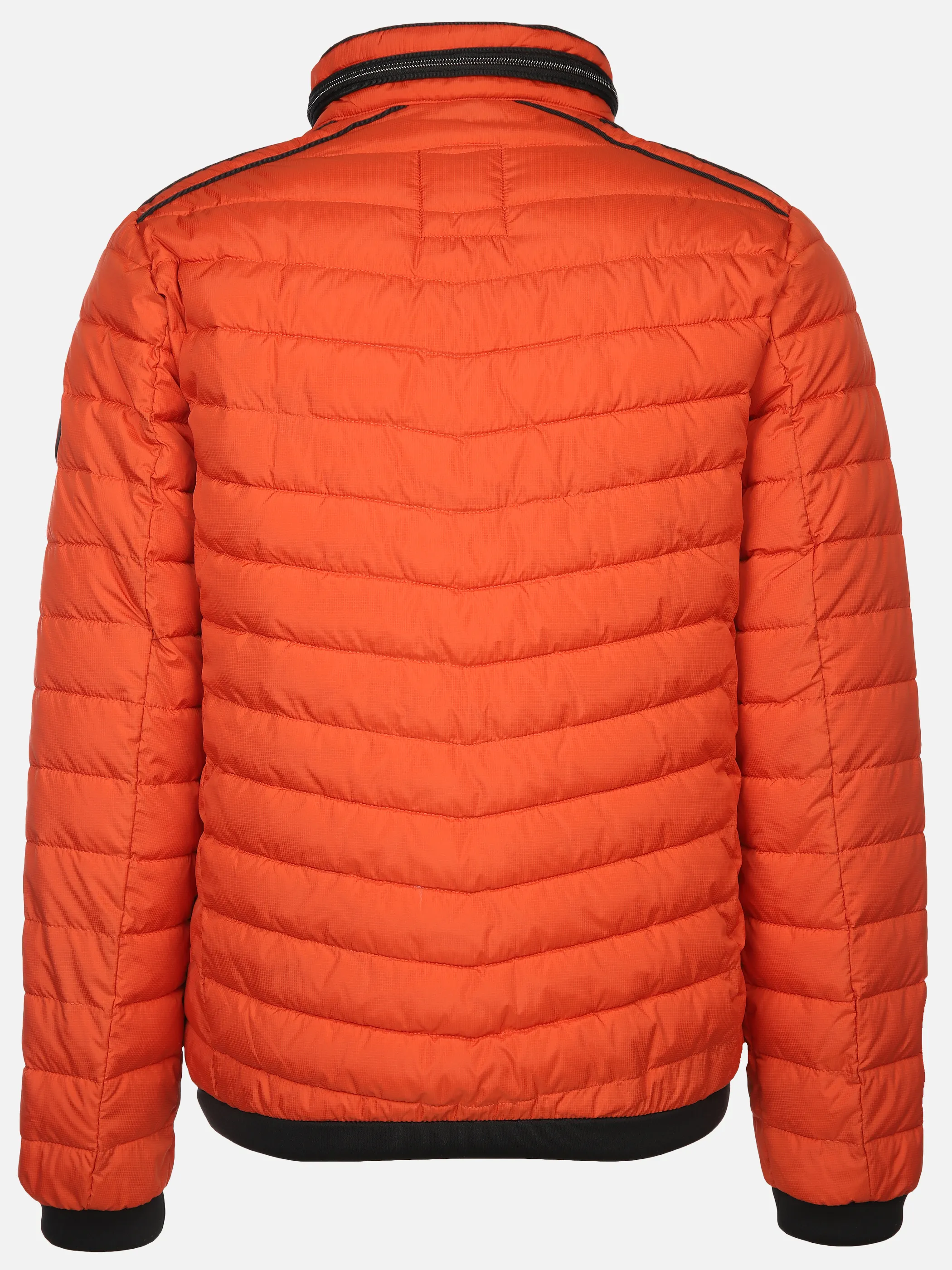 Herren Blouson in gleichmäßiger Steppung