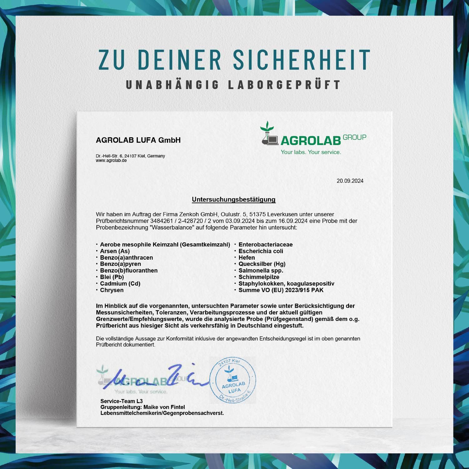 Brennnesselblatt Komplex mit Rosskastanienextrakt und roter Weinlaub - Wasserbalance - NATURTREU®