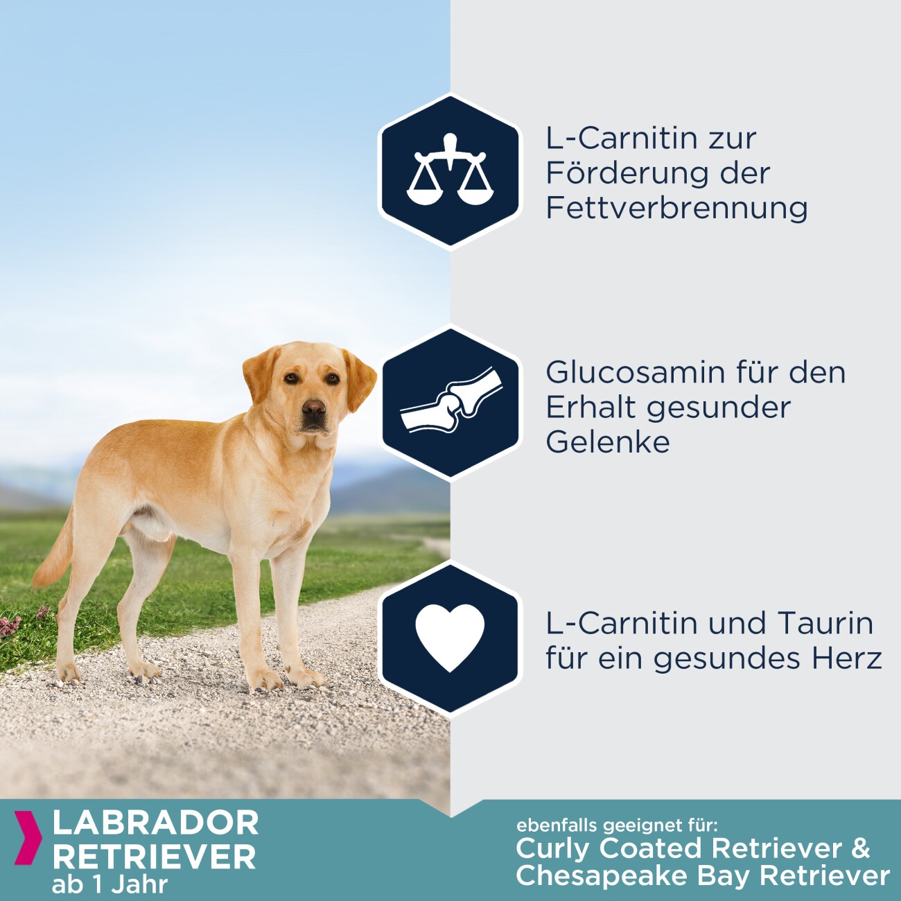 EUKANUBA Trockenfutter Hund Specific Labrador Retriever Adult 12 kg