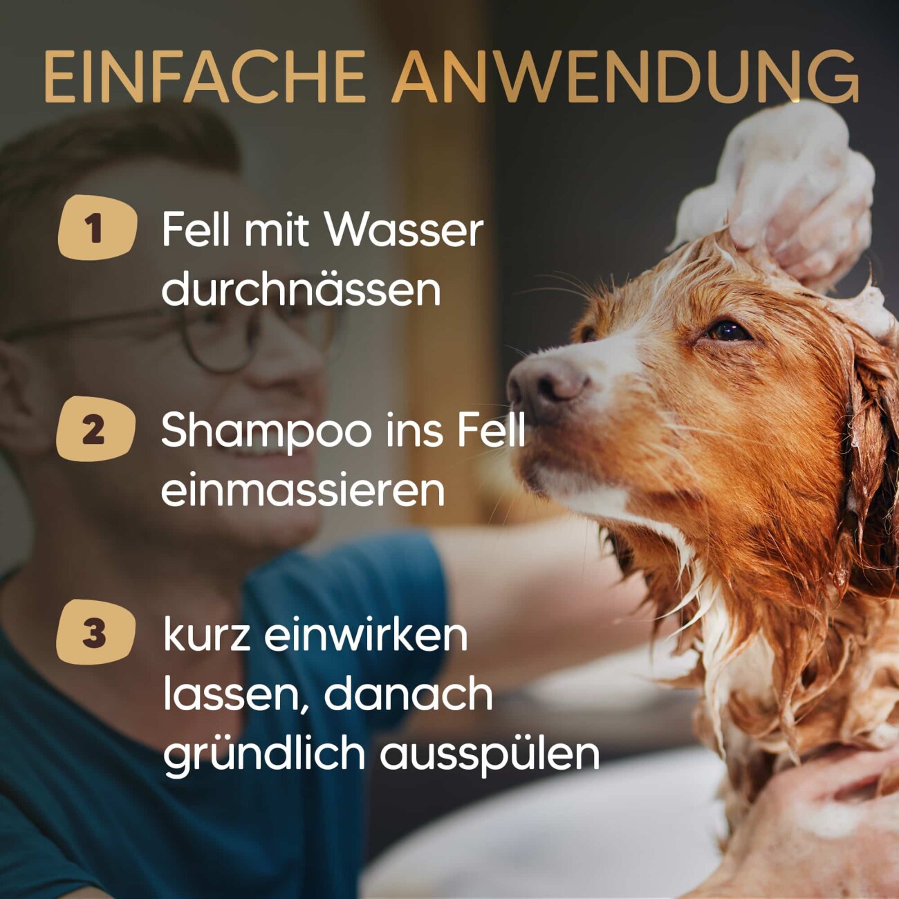Pawlie's Hundeshampoo für Langhaar 250ml