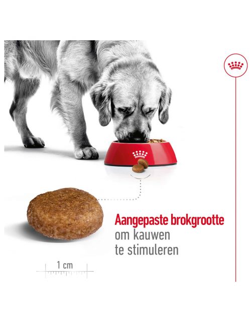 Royal Canin Maxi Adult 5+ - Hondenvoer