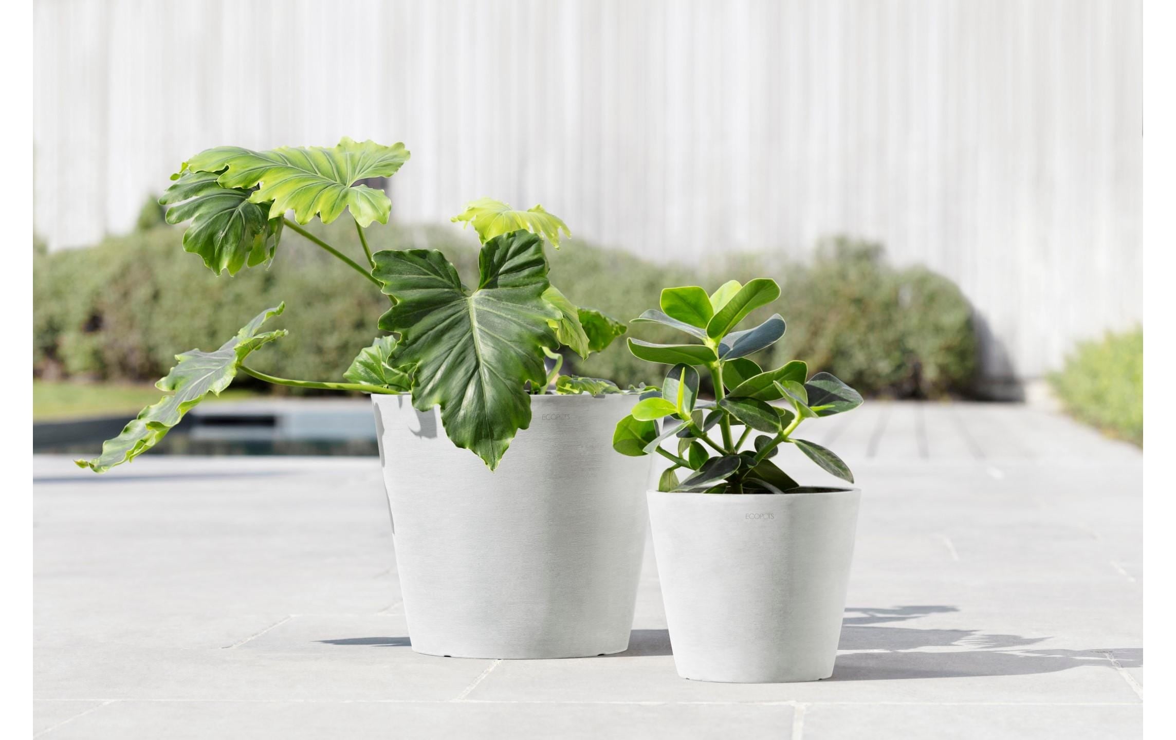 ECOPOTS Pflanzkübel »Amsterdam 30«