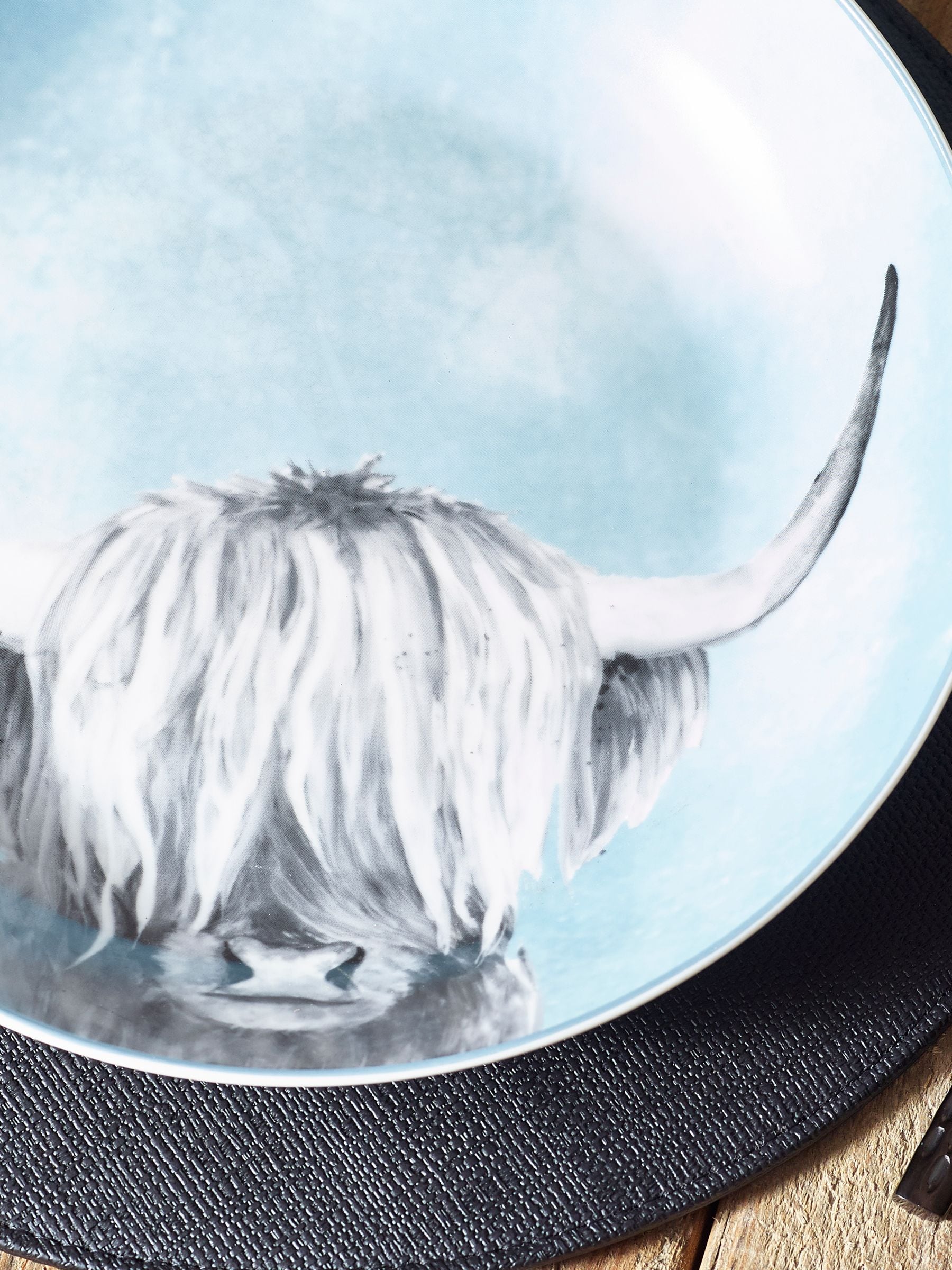 Set van 4 Hamish the Highland Cow pastaschalen
