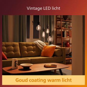 Philips LED globe E27 40 watt 2200K Amber dimbaar
