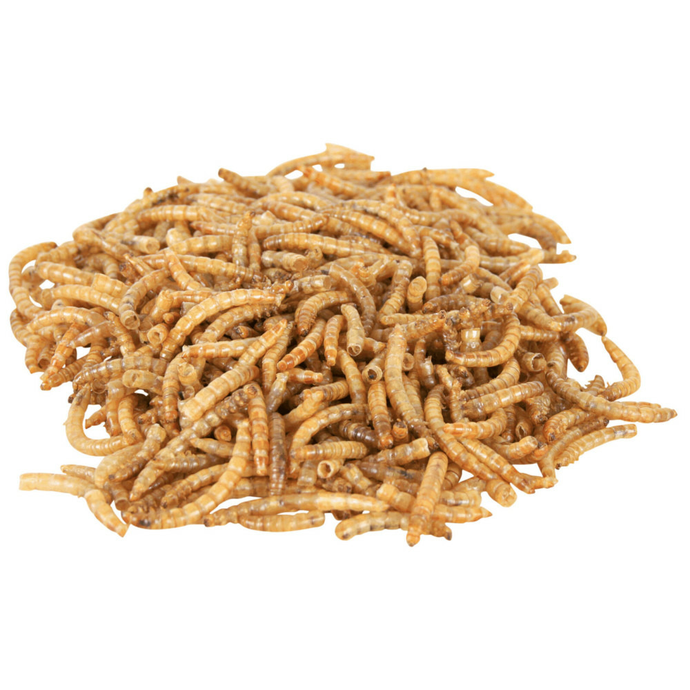 Larves de vers de farine séchées 70 gr