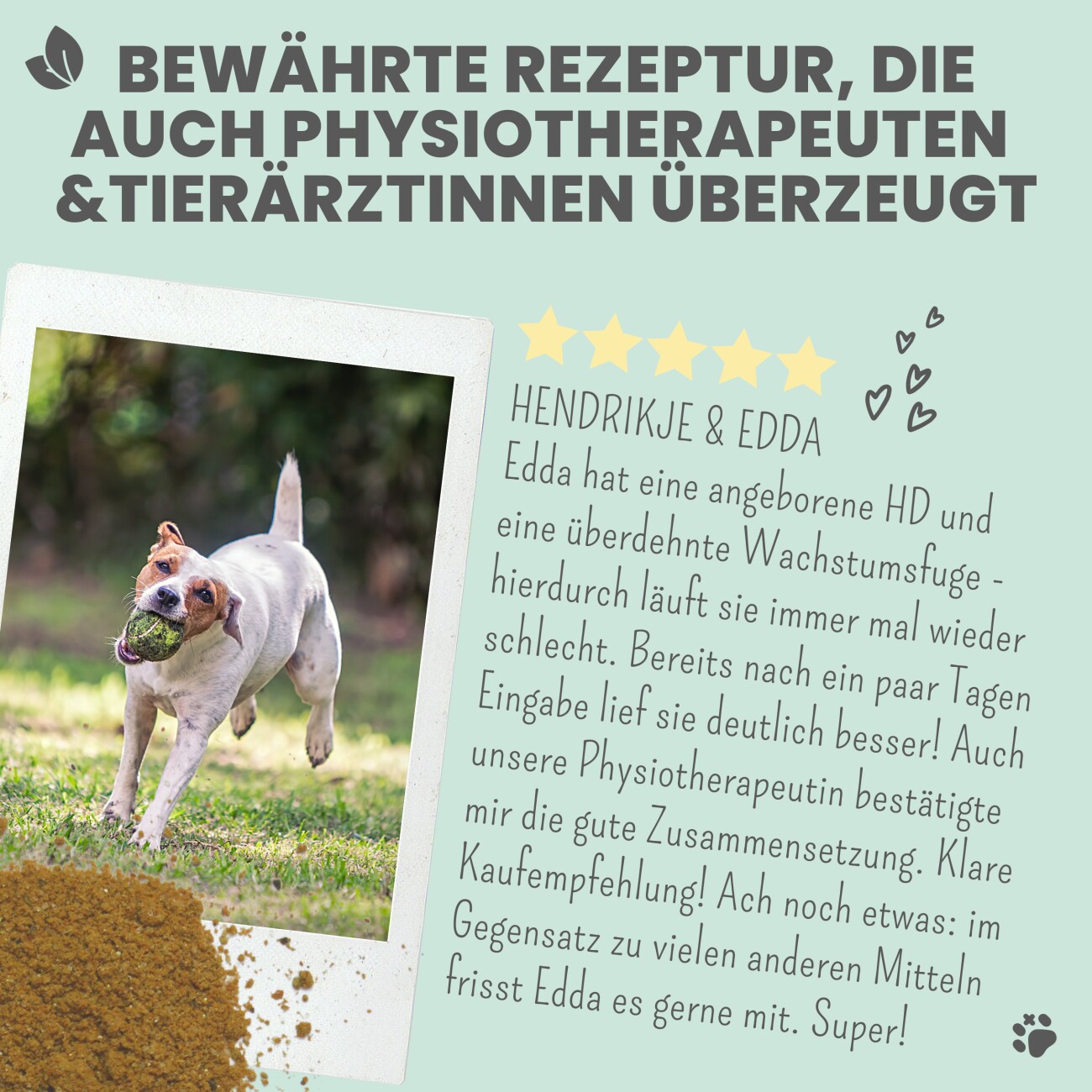 noms+ Gelenkmix für Hunde & Katzen mit Teufelskralle, Kurkuma & Glucosamin 150g