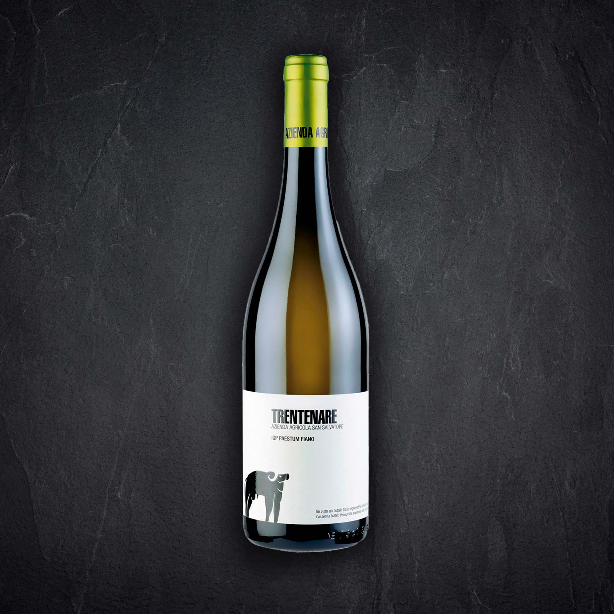 Trentenare Fiano San Salvatore