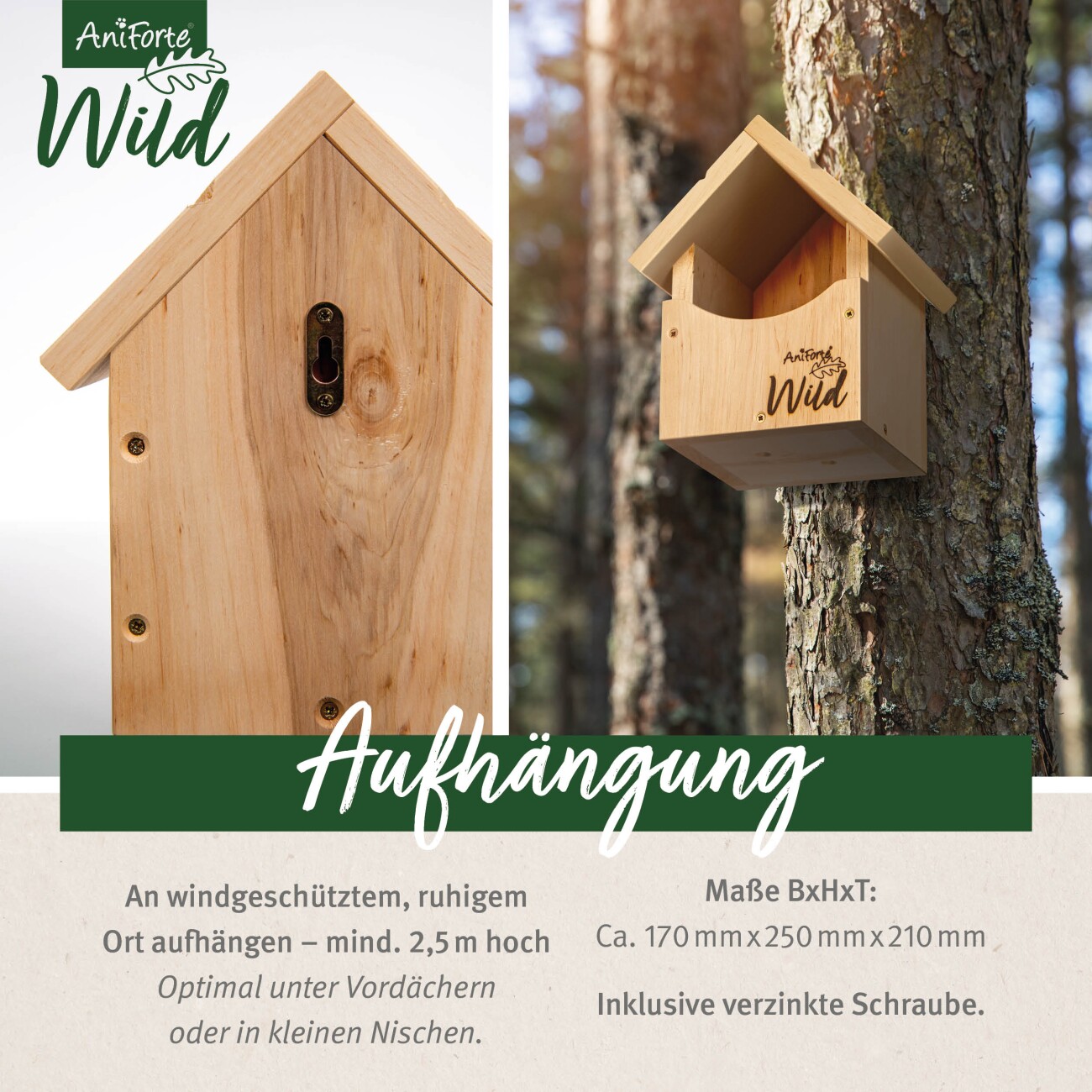 AniForte Nistkasten Rotkehlchen