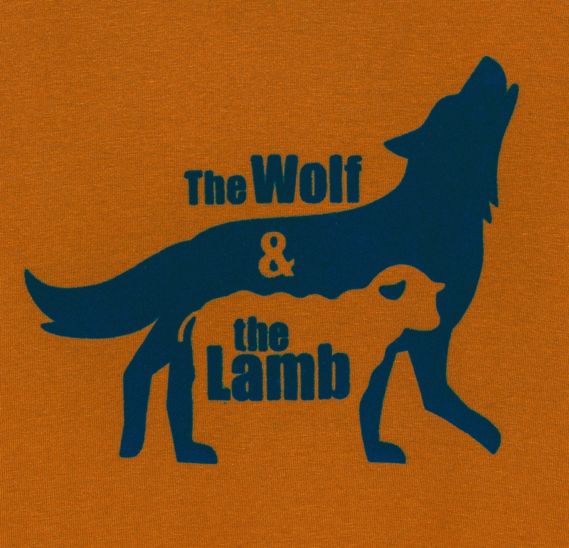 T-shirt manches longues thème fables orange garçon