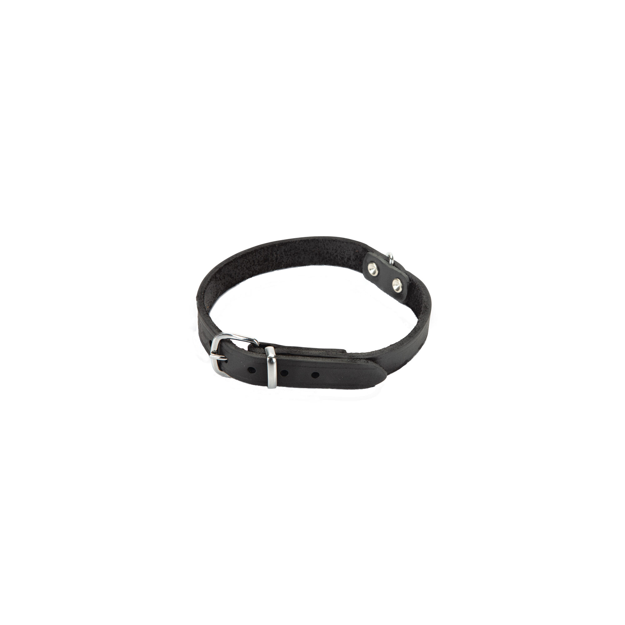 Beeztees Halsband Hond Leer