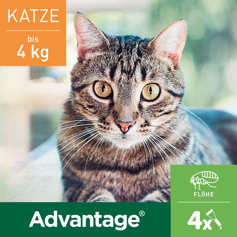 Advantage® 40 mg für Katzen und Zierkaninchen bis 4 kg Körpergewicht