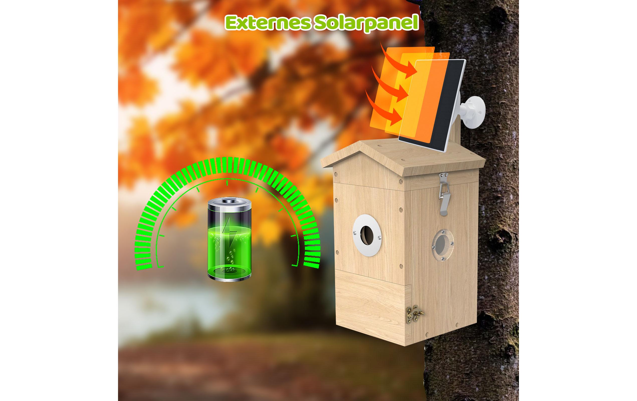 Vogel Nistkasten mit Kamera, Solarpanel inklusive<br>Nistkasten aus Holz mit Sonnenkollektor