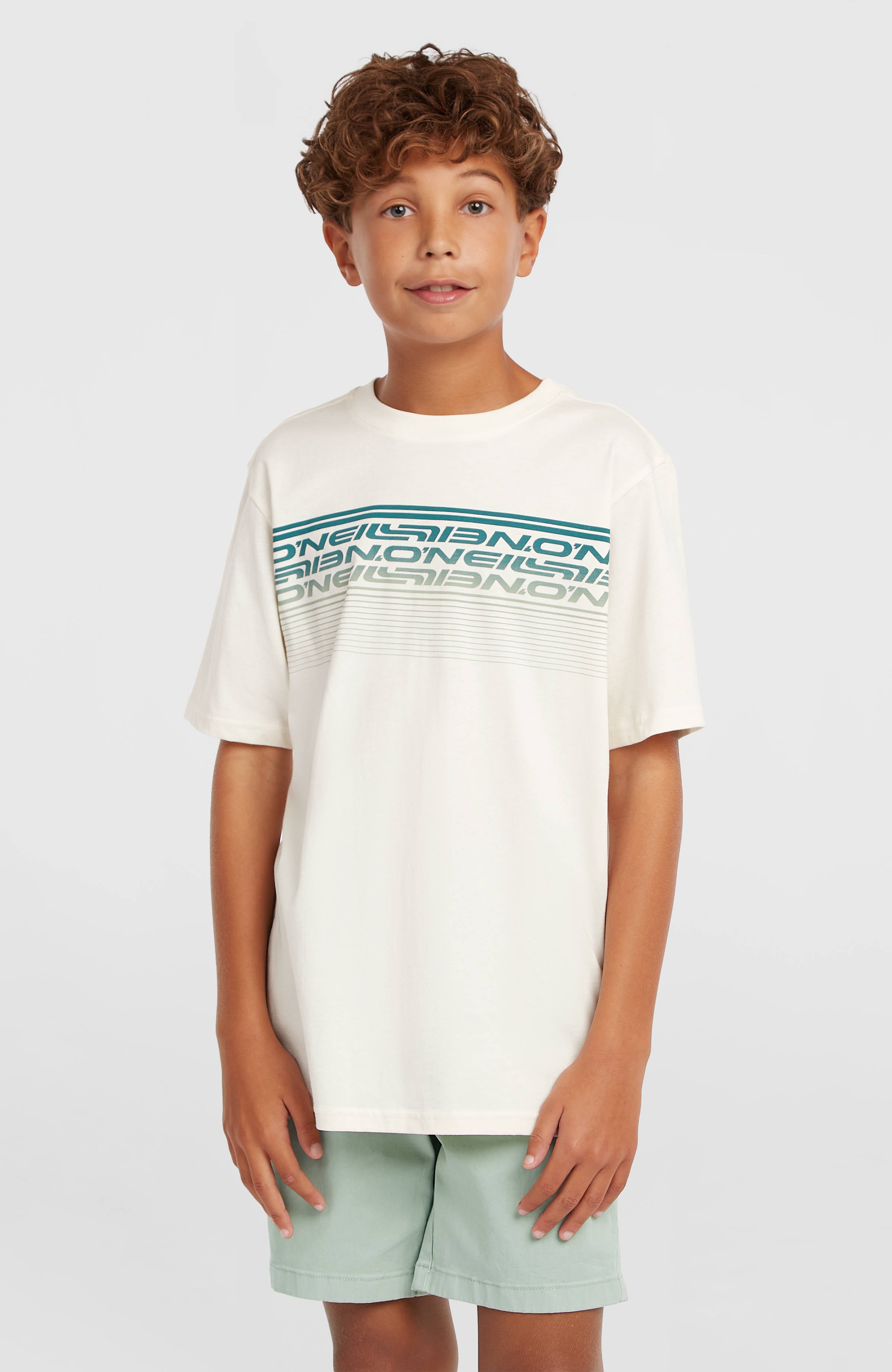 O'Neill Logo Stripe T-shirt