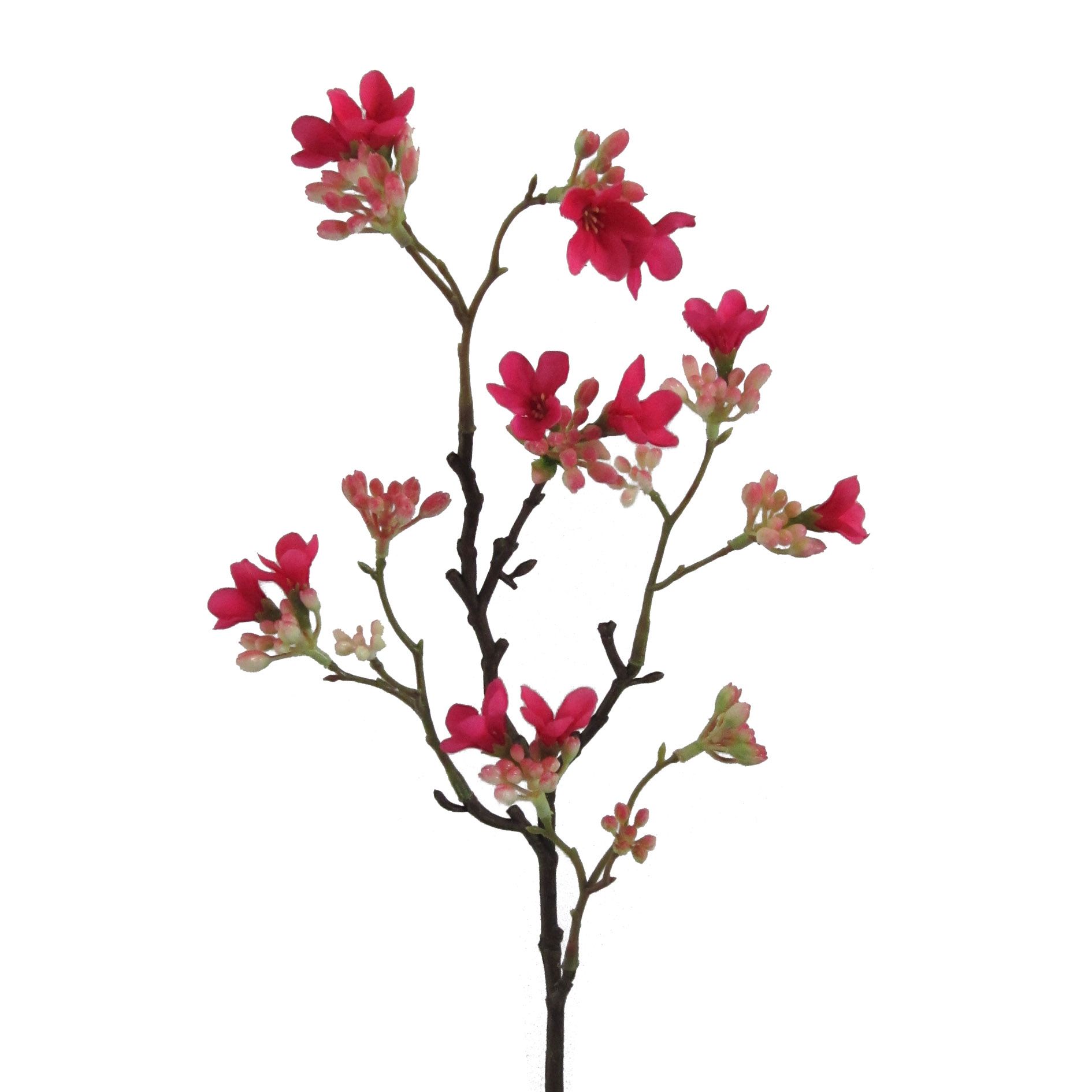 Kunstblume SCHEINQUITTENZWEIG