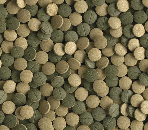 Fischfutter Tetra Pleco Tablets