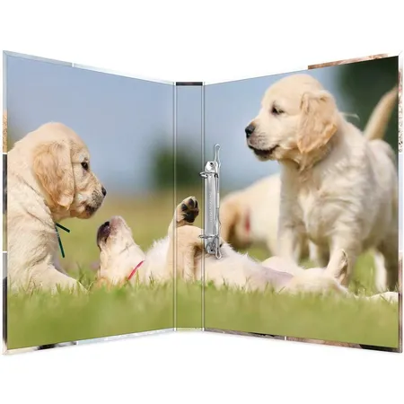 HERMA Ringbuch A4 Karton 2D Hunde 2 Ringe 3,5 cm