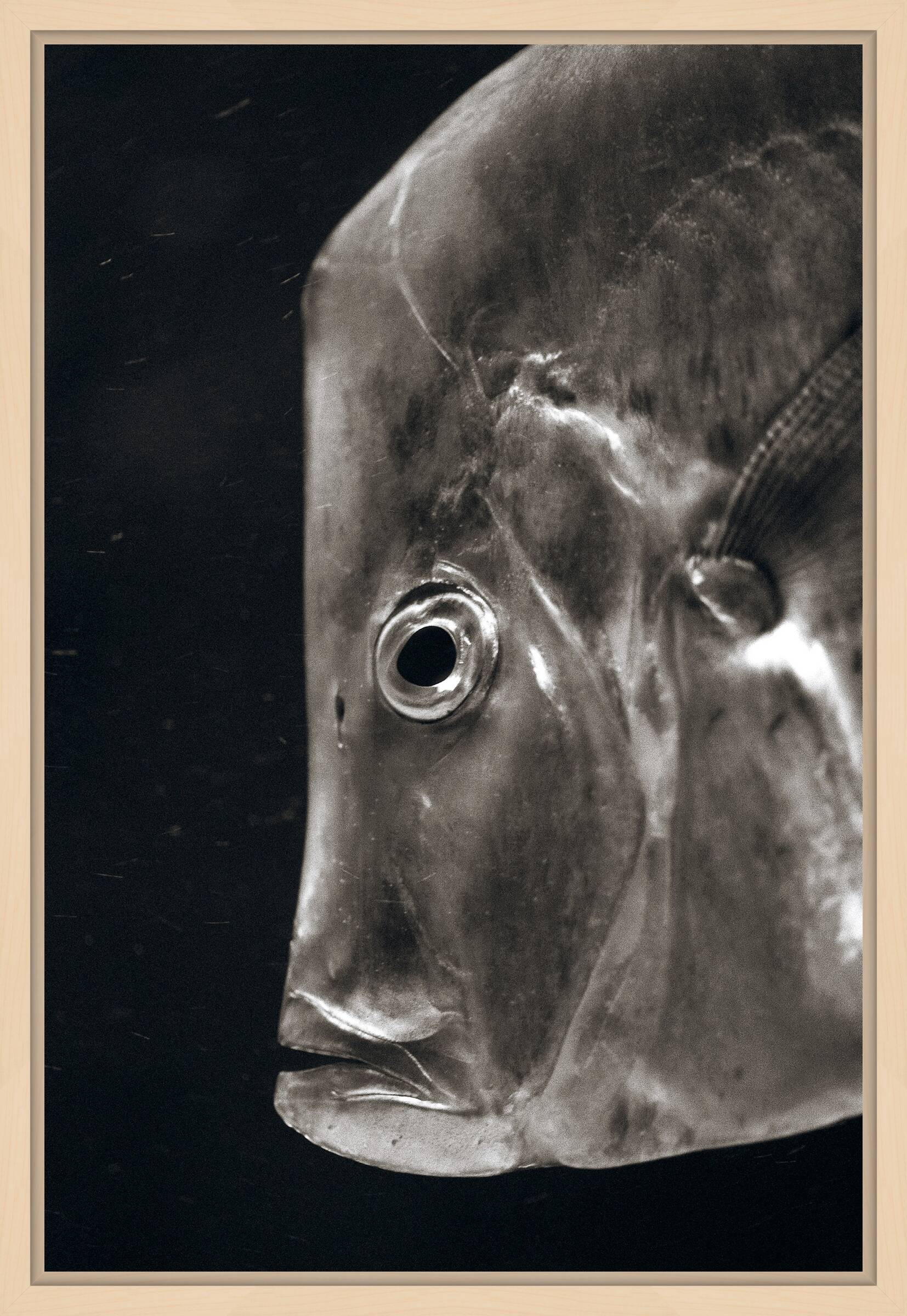 Lookdown by Henry Horenstein - Open Edition.