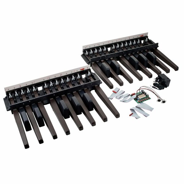 Doepfer MBP25 Electronic with 2 Pedal