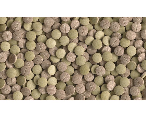 Tetra Tabletten TabiMin XL, 133 tabletten
