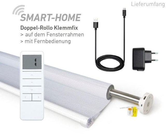 Good Life Elektrisches Rollo »Aline - SMART HOME« Lichtschutz ohne Bohren mit Fernbedienung