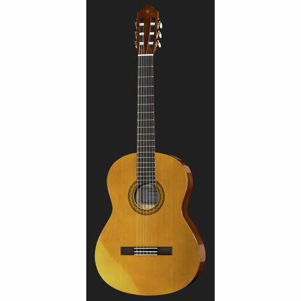Yamaha CGS104