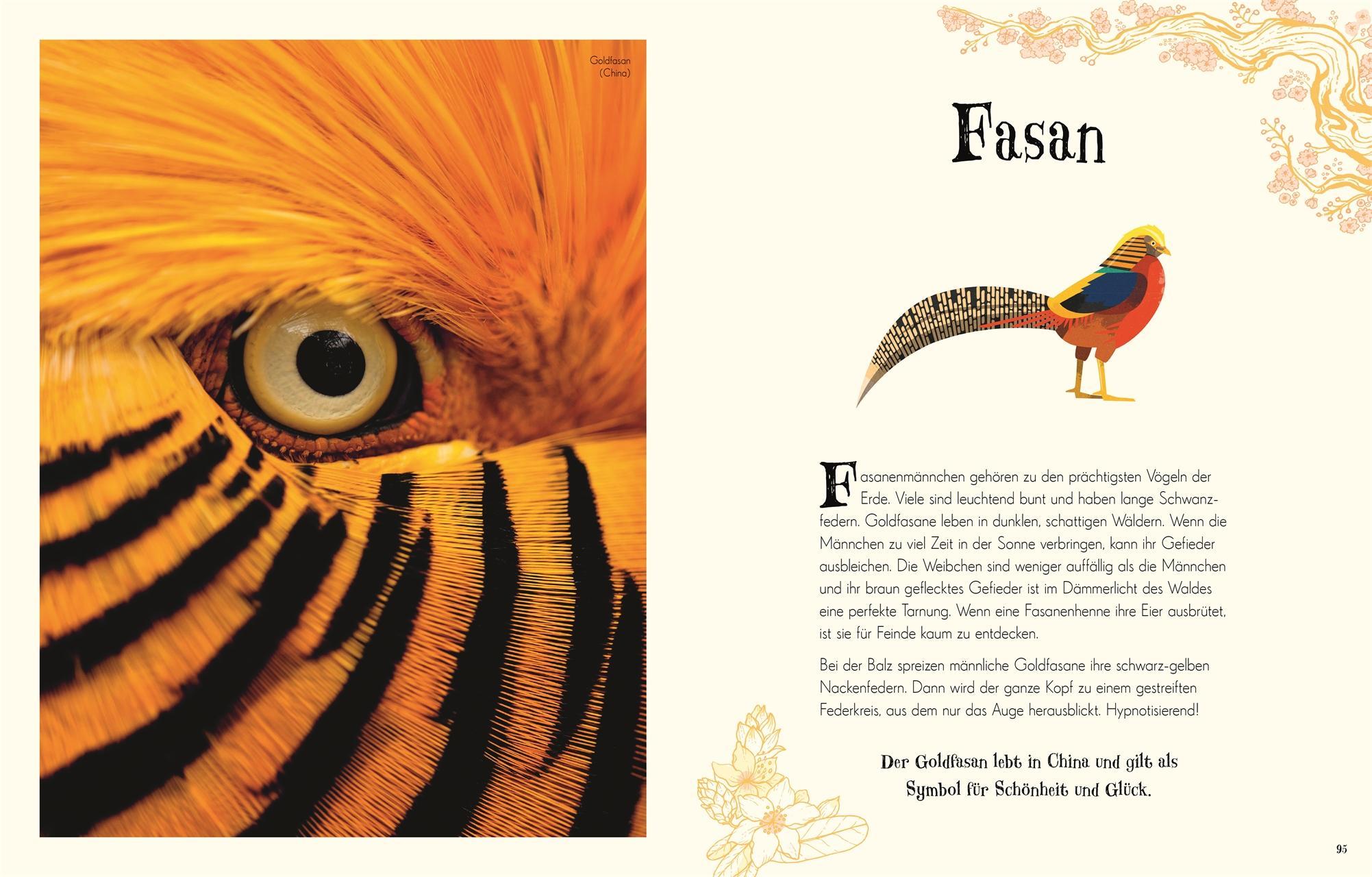 Wundervolle Welt der Tiere / Wundervolle Welt Bd.1