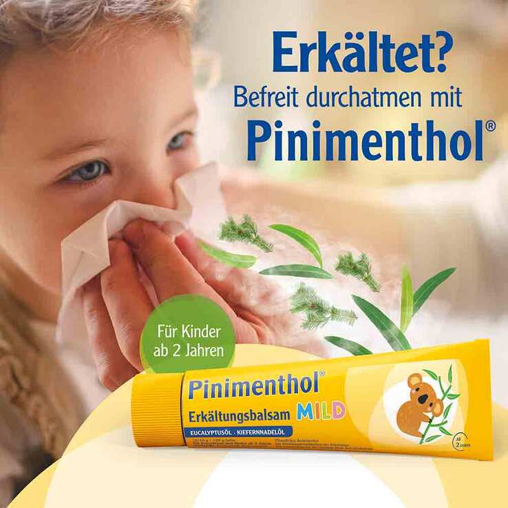 Pinimenthol® Erkältungsbalsam mild Eucalyptusöl Kiefernnadelöl, 50 g