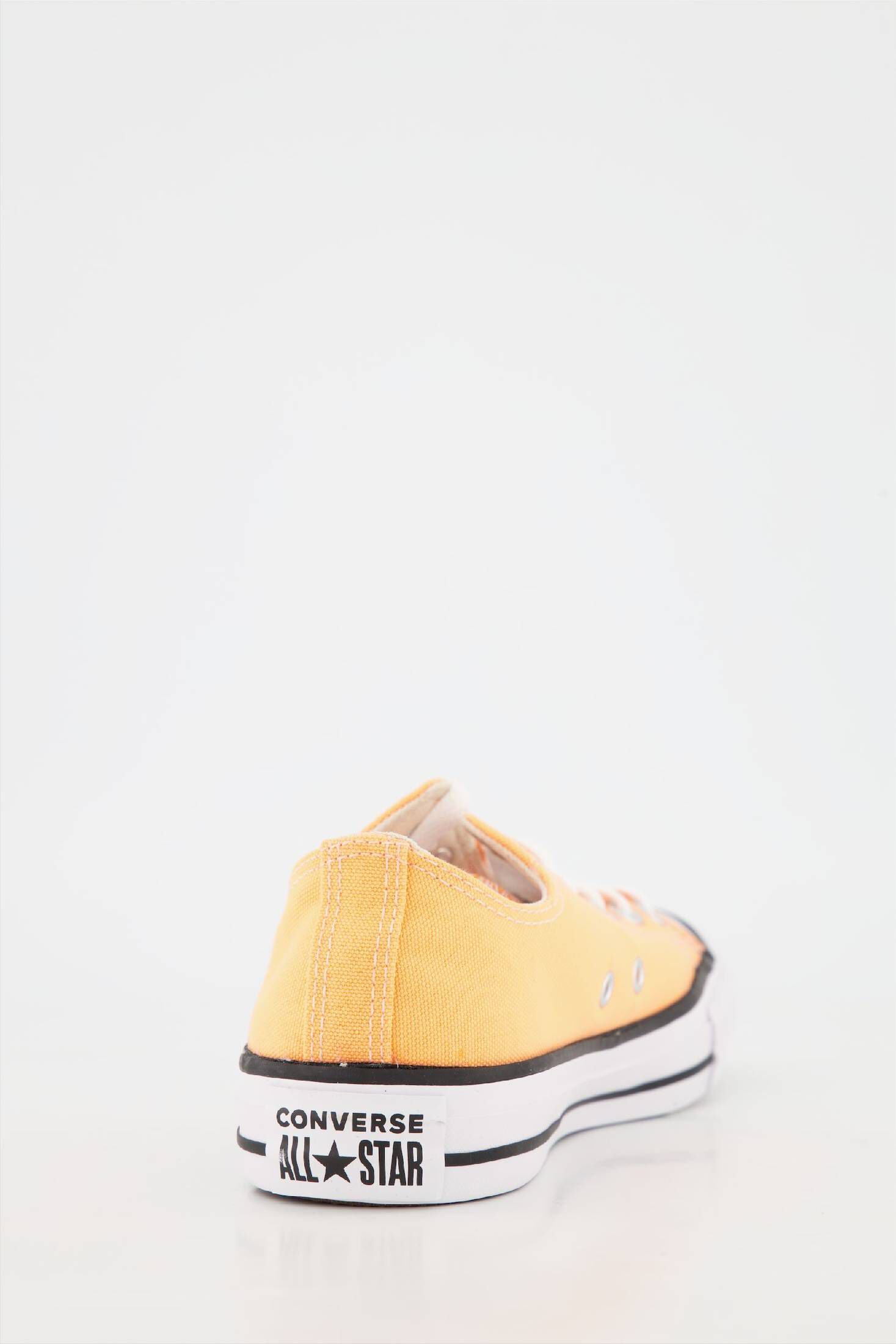 Converse| Damen Sneaker CHUCK TAYLOR ALL STAR SEASONAL