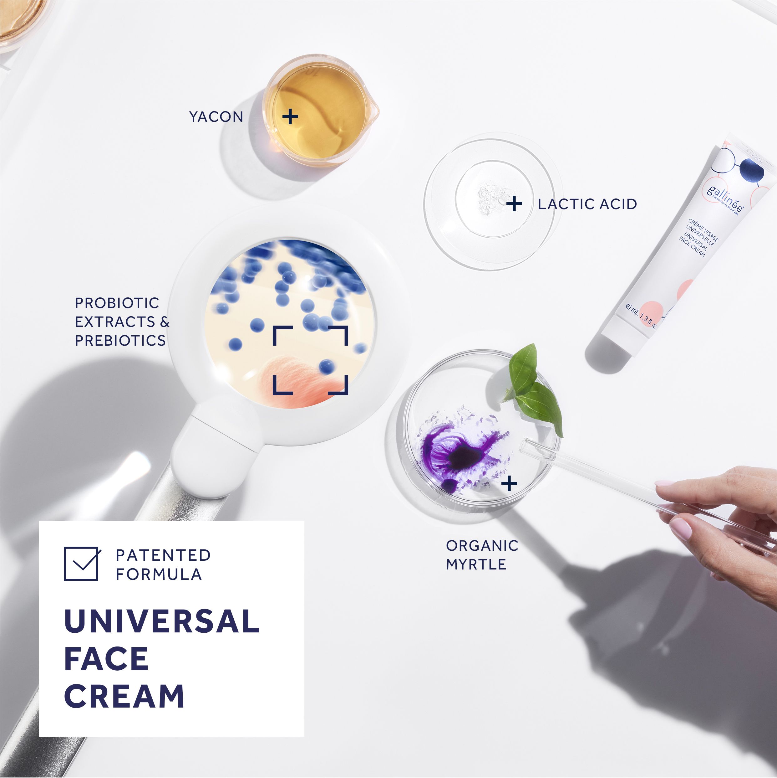 Gallinée Universal Face Cream - Zur Wiederherstellung der Hautbarriere - beruhigende feuchtigkeitsspendende Tagescreme für ein weiches und strahlendes Hautbild