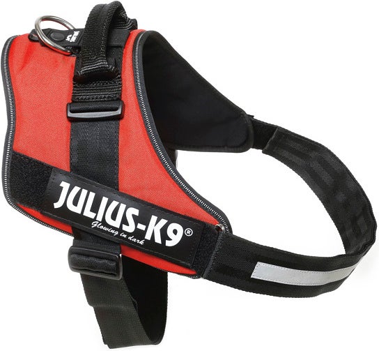 Julius K9 hondentuig IDC rood 82-115 cm