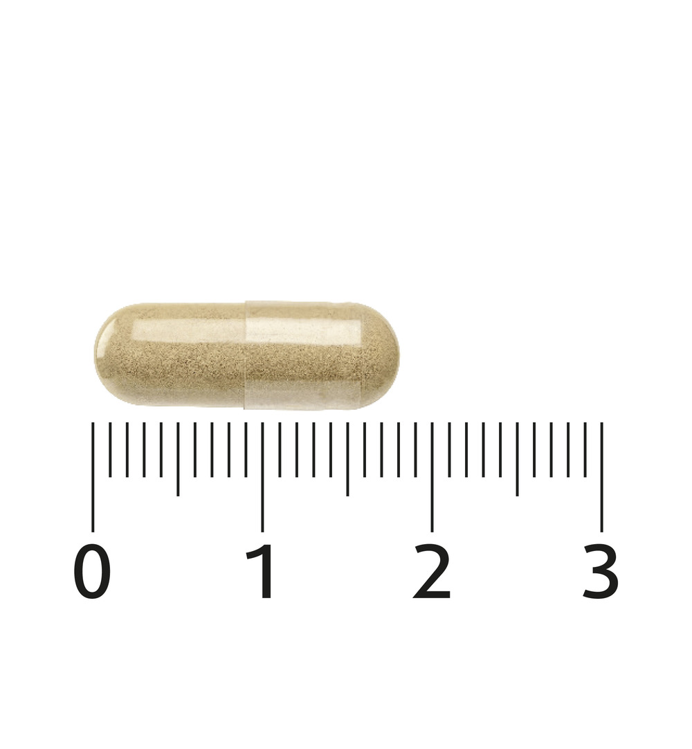 Lucovitaal Scutellaria 2000mg (30 capsules)