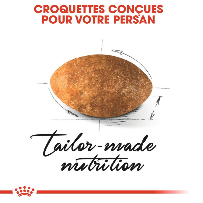 Royal Canin Persan Adult à prix discount sur bitiba.fr