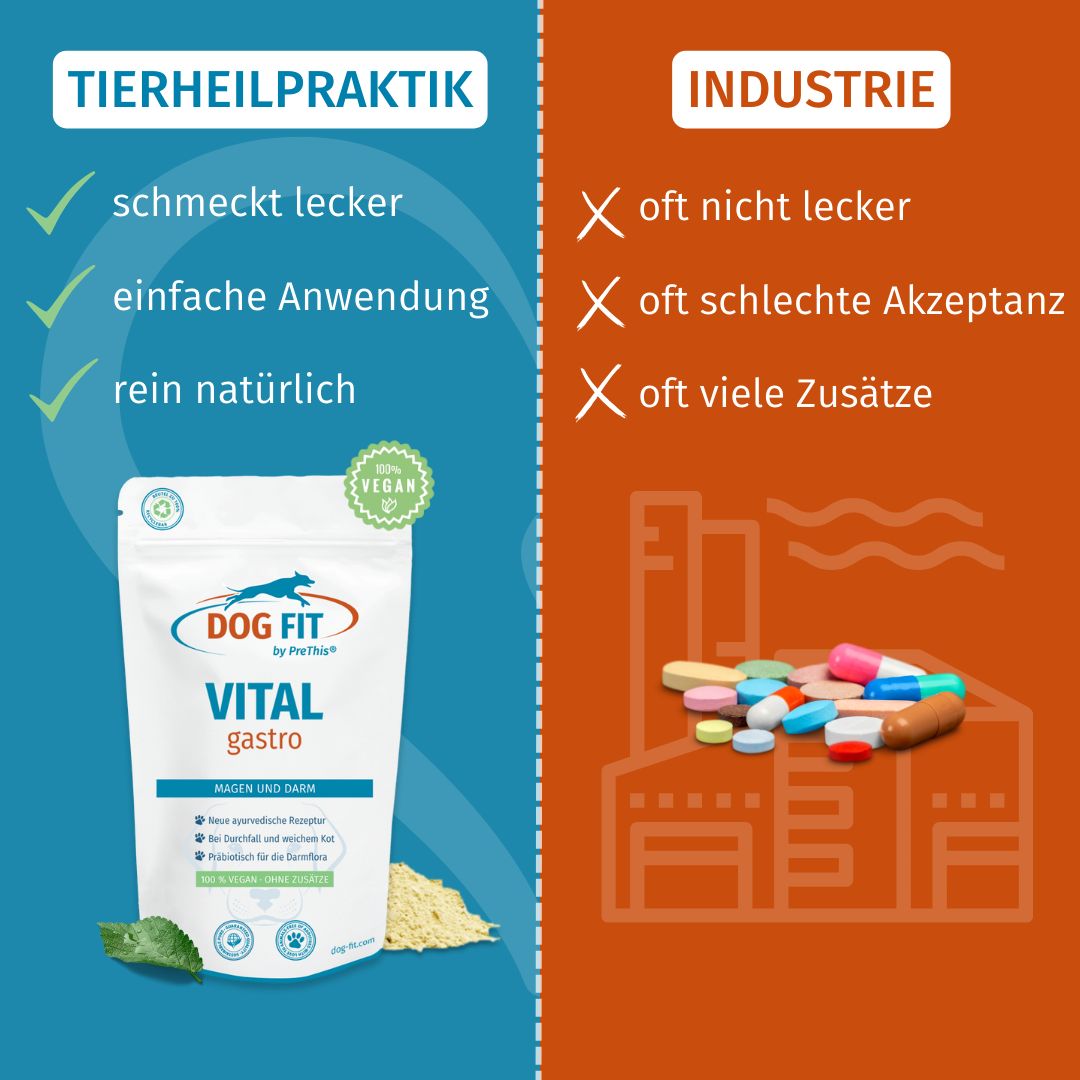 DOG FIT by PreThis® VITAL gastro » Bei Verdauungsproblemen, Durchfall und weichem Kot